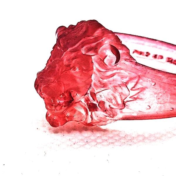 NEOREGALIA LIONHEART RING