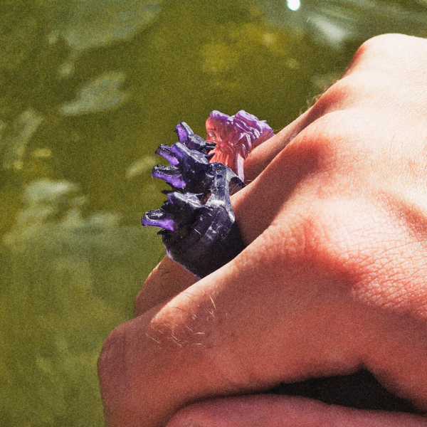 RDLF2K CERBERUS RING