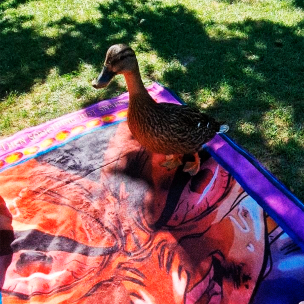 GOOFY AHH x AIGHT TOWEL