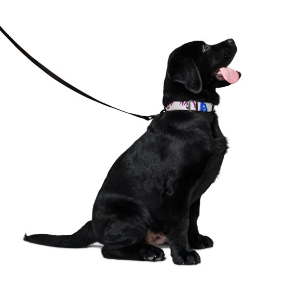 149 DESIGNS X CHROMEPRIX PET COLLAR & LEASH