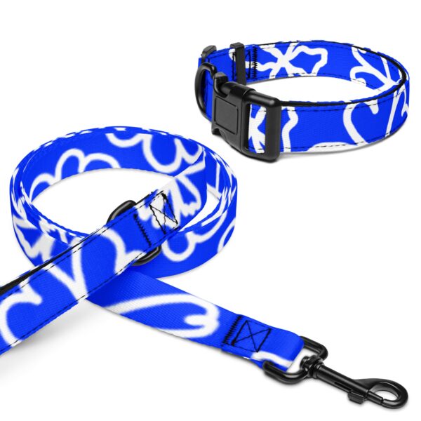 149 DESIGNS PET COLLAR & LEASH