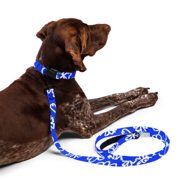 149 DESIGNS PET COLLAR & LEASH