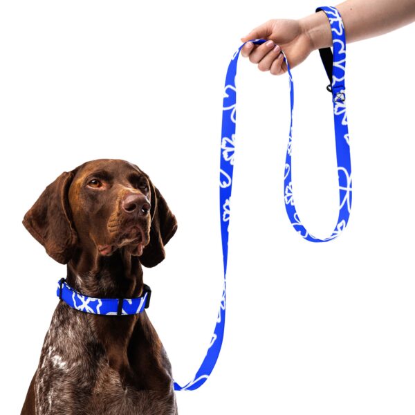 149 DESIGNS PET COLLAR & LEASH