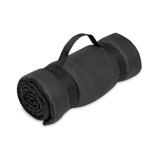 15138331220694622552_2048.jpg 149 DESIGNS PICNIC BLANKET